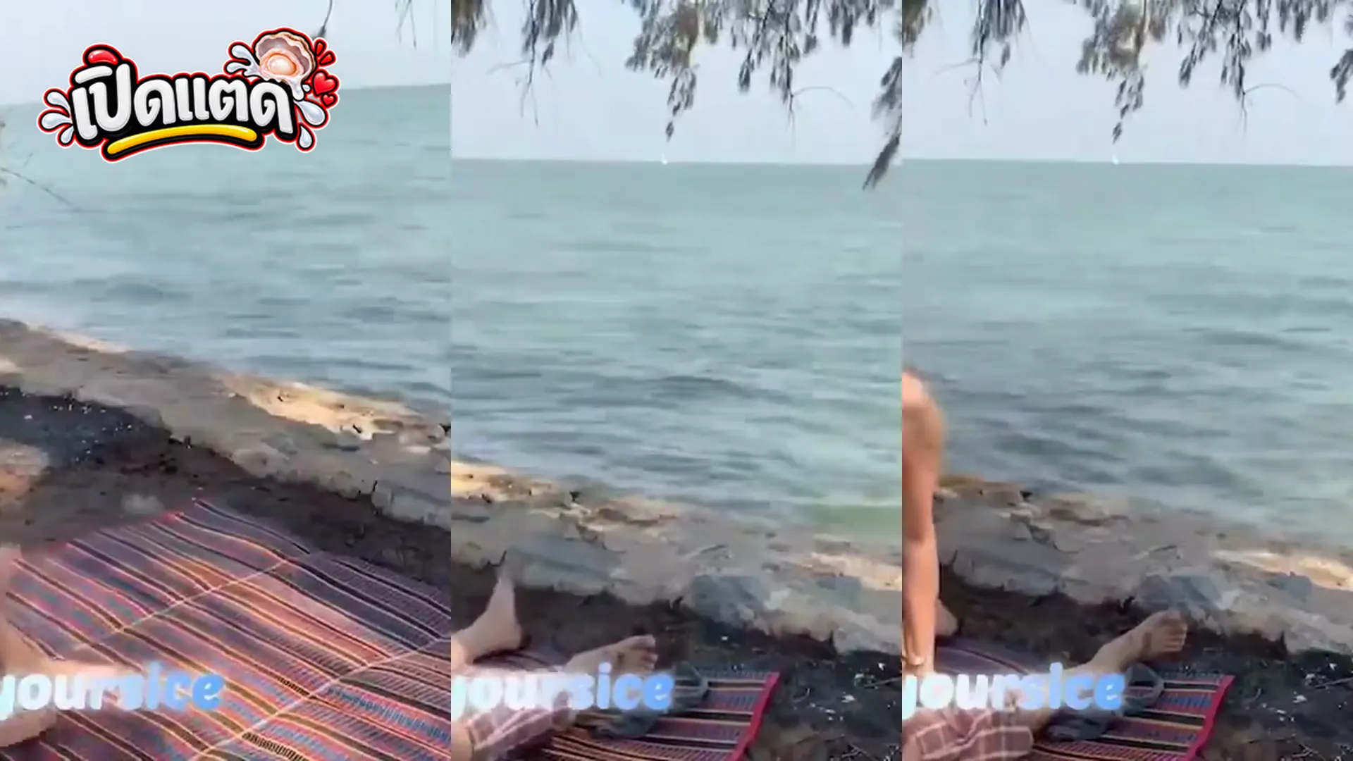 คลิปหลุดทางบ้าน somsomswing น้องส้ม สาวแว่นทรงซ้อนมโตโชว์เย็ดที่ทะเล เย็ดเอ้าท์ดอร์ตอนกลางวันแสกๆ ก้มดูดควยโม๊คเลียไข่ โก่งหีโดนควยกระแทกเย็ดมิดด้าม